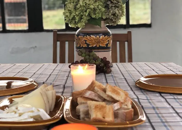 Prázdninový dům La Palmera Del Camino *